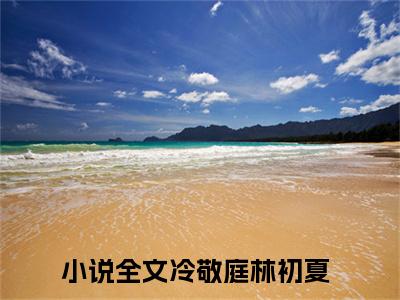 冷敬庭林初夏是哪部小说的主角，冷敬庭林初夏免费阅读全文大结局