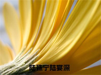 陆殊宁陆宴深(陆殊宁陆宴深)最新章节在线阅读-陆殊宁陆宴深已完结全集大结局小说