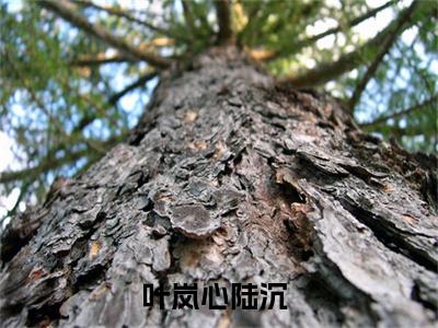 叶岚心陆沉（叶岚心陆沉）全文阅读完整版_叶岚心陆沉小说免费阅读大结局（叶岚心陆沉）