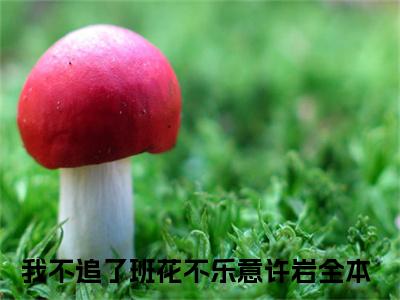 我不追了班花不乐意许岩（我不追了班花不乐意许岩）完整版小说阅读_我不追了班花不乐意许岩全文免费阅读最新章节列表_笔趣阁