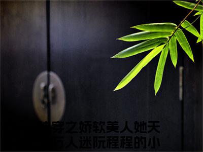 小说完整版阅读-快穿之娇软美人她天生万人迷阮程程美文欣赏