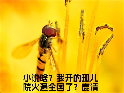 啥？我开的孤儿院火遍全国了？鹿清蔷小说全文免费阅读正版 啥？我开的孤儿院火遍全国了？鹿清蔷免费阅读无弹窗