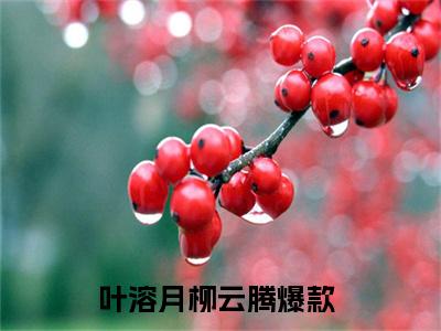 叶溶月柳云腾全网首发小说-叶溶月柳云腾无广告免费试读