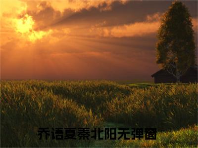 乔语夏秦北阳(乔语夏秦北阳)在线阅读无弹窗大结局-乔语夏秦北阳小说最新章节阅读_笔趣阁（乔语夏秦北阳）