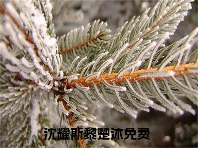 (热推新书)沈耀斯黎楚沐小说在线分享-（沈耀斯黎楚沐）小说全文免费阅读_沈耀斯黎楚沐最新章节列表_笔趣阁