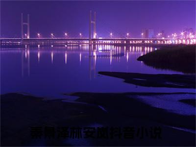 秦景泽林安岚（秦景泽林安岚）无广告免费阅读-小说秦景泽林安岚最后结局如何