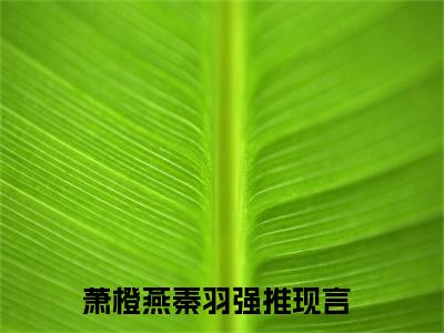 萧橙燕秦羽（萧橙燕秦羽)全文免费阅读无弹窗大结局_萧橙燕秦羽全文免费阅读_笔趣阁（萧橙燕秦羽）