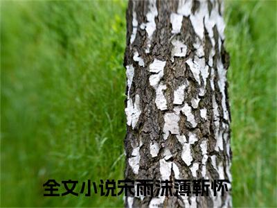 宋雨沫薄靳怀全本小说无弹窗阅读-宋雨沫薄靳怀（宋雨沫薄靳怀）精彩热门小说