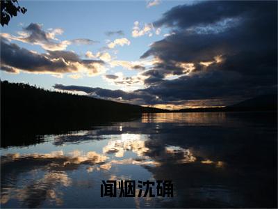 闻烟沈确（闻烟沈确）全文免费阅读无弹窗_闻烟沈确最新小说_笔趣阁（闻烟沈确）