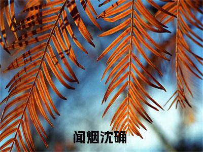 闻烟沈确最新章节免费阅读-闻烟沈确小说排行榜top1小说全文阅读