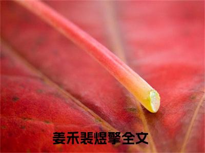 姜禾裴煜擎小说全文免费阅读无弹窗大结局_(姜禾裴煜擎)姜禾裴煜擎最新章节列表笔趣阁（姜禾裴煜擎）