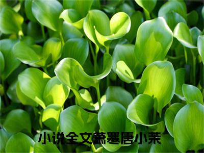 萧寒唐小茉全文免费阅读（萧寒唐小茉）全文无删减版在线阅读_萧寒唐小茉全文免费阅读最新章节列表_笔趣阁