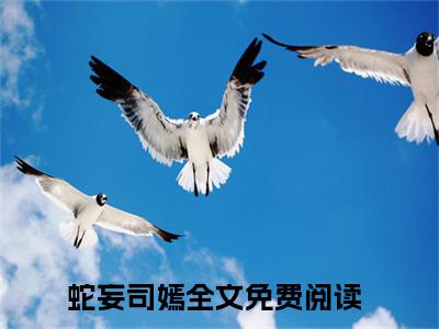 蛇妄司嫣什么小说 蛇妄司嫣全文免费阅读在线阅读