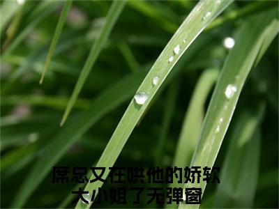 （席总又在哄他的娇软大小姐了）全文免费阅读无弹窗大结局_（席凛温舒全文免费）席总又在哄他的娇软大小姐了小说最新章节列表_笔趣阁