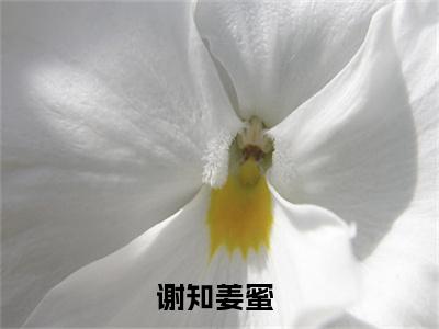 谢知姜蜜小说免费(谢知姜蜜)全文免费阅读无弹窗（谢知姜蜜小说）最新章节列表_笔趣阁