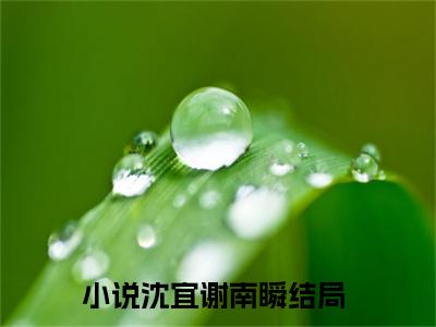 沈宜谢南瞬小说最后结局(沈宜谢南瞬)完结版免费阅读