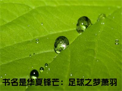 华夏锋芒：足球之梦萧羽免费阅读，主角为华夏锋芒：足球之梦萧羽的言情小说