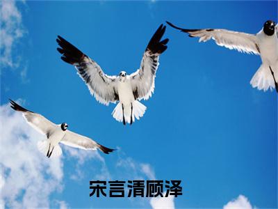 宋言清顾泽（宋言清顾泽）全文免费阅读无弹窗_宋言清顾泽小说免费阅读_笔趣阁