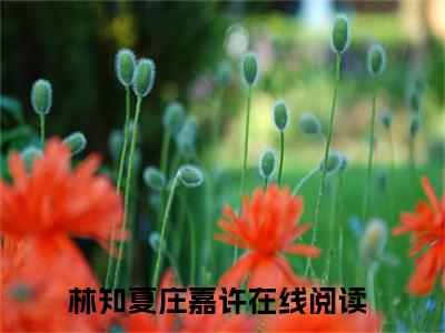 林知夏庄嘉许（林知夏庄嘉许）全文免费阅读无弹窗大结局_（林知夏庄嘉许小说全文免费阅读）林知夏庄嘉许最新章节列表笔趣阁（林知夏庄嘉许）