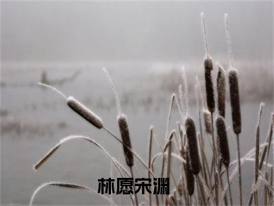 林愿宋渊（林愿宋渊）最新章节在线阅读-全文小说（林愿宋渊）免费阅读