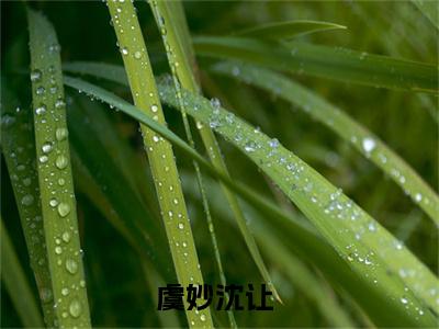 虞妙沈让新书热荐免费小说快穿：病娇王爷每天在线喝醋全文完整版-快穿：病娇王爷每天在线喝醋小说全文无删减版免费阅读