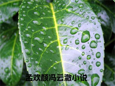 孟欢颜冯云澈全文最新章节（孟欢颜冯云澈）全文免费阅读无弹窗大结局_孟欢颜冯云澈免费阅读（孟欢颜冯云澈全文）