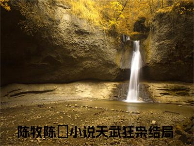 陈牧陈玥（天武狂枭）全文免费阅读无弹窗大结局_（天武狂枭）最新章节