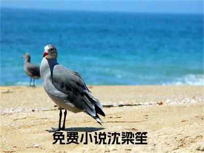 沈梁笙（心尖痣）多人推荐阅读-精选小说（心尖痣）完整版免费阅读