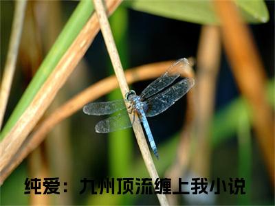 白玉韩小雪全文（纯爱：九州顶流缠上我）抖音热推小说全集无删减_纯爱：九州顶流缠上我免费最新章节列表_笔趣阁