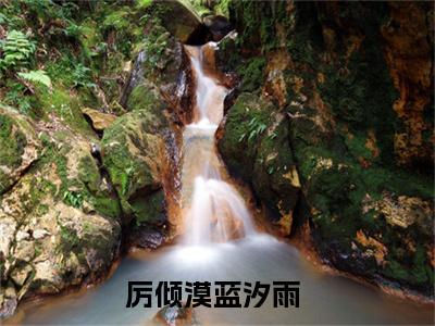 厉倾漠蓝汐雨（厉倾漠蓝汐雨全文免费）小说全文免费阅读无弹窗大结局_（厉倾漠蓝汐雨）最新章节列表（厉倾漠蓝汐雨后续）