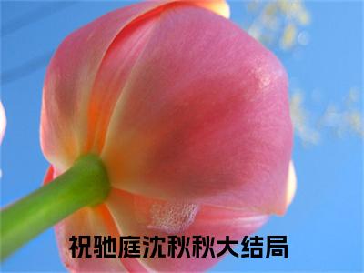 祝驰庭沈秋秋精彩小说赏析全文 祝驰庭沈秋秋热门小说免费阅读