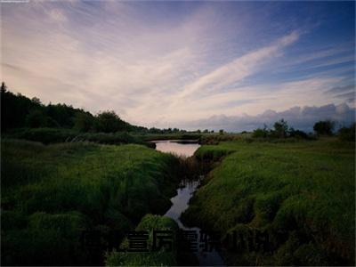 傅北萱厉霆骁甜宠小说哪里能看傅北萱厉霆骁-傅北萱厉霆骁小说阅读全集