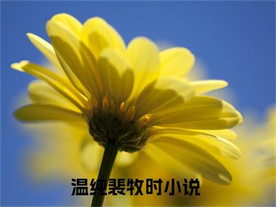 温纯裴牧时全文免费阅读无弹窗大结局-温纯裴牧时无弹窗阅读