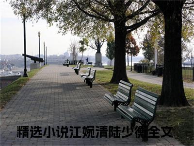 江婉清陆少衡（江婉清陆少衡）全文免费阅读无弹窗大结局_江婉清陆少衡最新章节列表_笔趣阁（江婉清陆少衡）