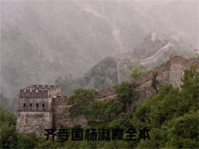 齐寺国杨淑霞精选好书-齐寺国杨淑霞无删减小说在线阅读（齐寺国杨淑霞全文免费阅读）