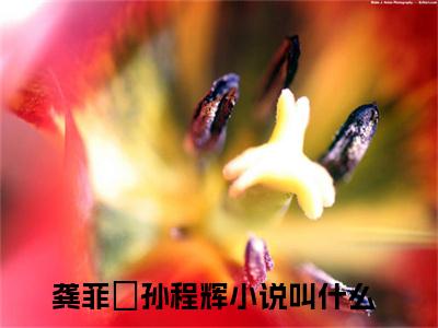 （龚菲玥孙程辉）龚菲玥孙程辉小说全文免费龚菲玥孙程辉读最新章节列表笔趣阁（龚菲玥孙程辉