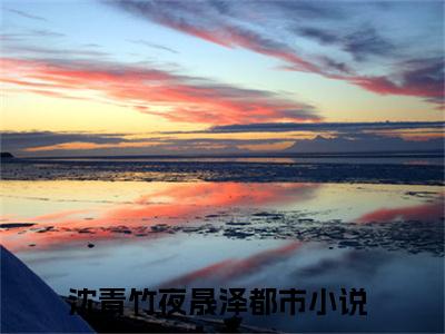 沈青竹夜晟泽阅读无弹窗大结局_沈青竹夜晟泽穿越小说免费阅读_笔趣阁