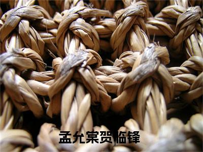 孟允棠贺临锋（孟允棠贺临锋）最新章节在线阅读-小说孟允棠贺临锋完整版阅读