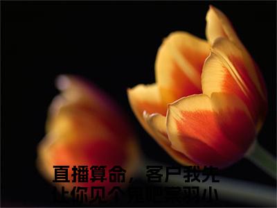 直播算命，客户我先让你见个鬼吧棠羽抖音完结版阅读《直播算命，客户我先让你见个鬼吧棠羽》最新章节目录好书推荐_(直播算命，客户我先让你见个鬼吧棠羽)