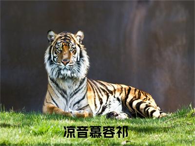 凉音慕容祁最后结局 凉音慕容祁完结版免费阅读