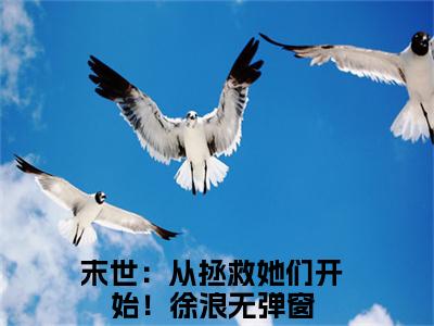 末世：从拯救她们开始！徐浪小说（末世：从拯救她们开始！徐浪）全文在线阅读无弹窗大结局