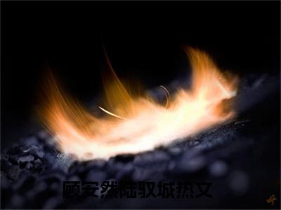 顾安然陆驭城(顾安然陆驭城)全文免费阅读无弹窗大结局_(顾安然陆驭城免费阅读全文大结局)最新章节列表