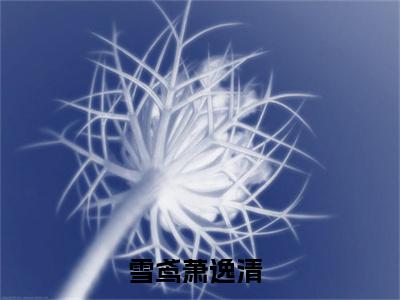 雪鸢萧逸清(雪鸢萧逸清小说）全文免费阅读无弹窗大结局_ 雪鸢萧逸清小说雪鸢萧逸清最新章节列表_笔趣阁（雪鸢萧逸清）