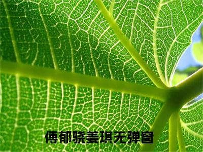 我们离婚，我放你走（傅郁骁姜琪）全文免费阅读无弹窗大结局_我们离婚，我放你走最新章节列表