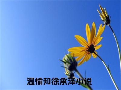 这场官司，你赢不了！（温愉知徐承泽）全文免费阅读无弹窗大结局_温愉知徐承泽_笔趣阁