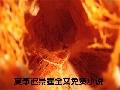 （热推新书）《夏筝迟景霆》全文免费阅读无弹窗大结局-爱慕筝筝无弹窗阅读