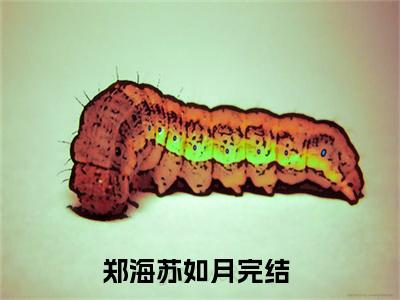 郑海苏如月小说全文无删减版在线阅读_（郑海苏如月）小说全文免费阅读_郑海苏如月最新章节列表_笔趣阁