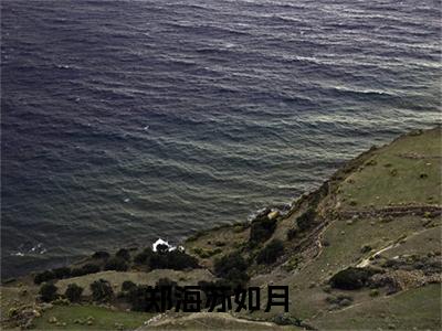 郑海苏如月(郑海苏如月)抖音热推小说全集无删减_(郑海苏如月免费阅读全文大结局)最新章节列表_笔趣阁