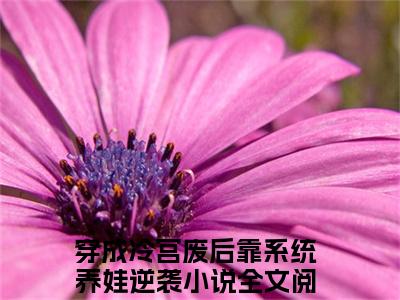 穿成冷宫废后靠系统养娃逆袭小说殷青璇陆静娴最新章节阅读-最新热点小说穿成冷宫废后靠系统养娃逆袭