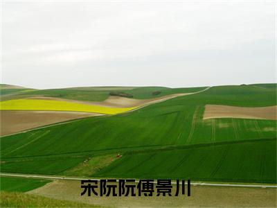 宋阮阮傅景川小说免费(宋阮阮傅景川)全文免费阅读无弹窗-宋阮阮傅景川最新章节列表_笔趣阁